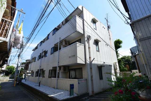 セルバ大井